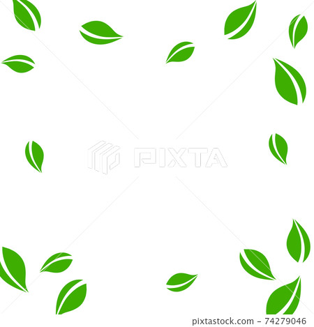 Falling green leaves. Fresh tea neat leaves flying 74279046