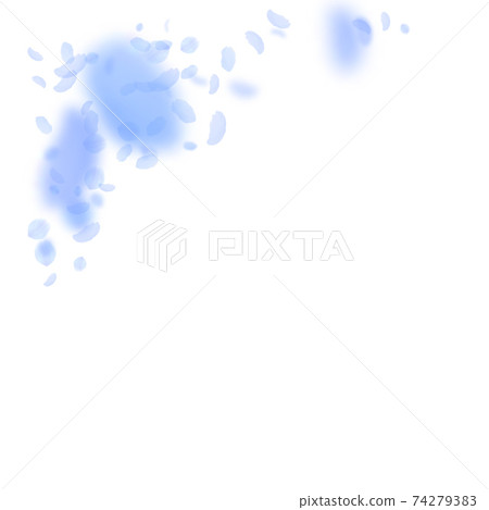 Dark blue flower petals falling down. Energetic ro Dark blue flower petals falling down. Energetic ro 74279383