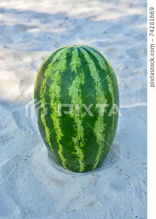 a large watermelon on the sand in the vertical position a large watermelon on the sand in the vertical position 74281669