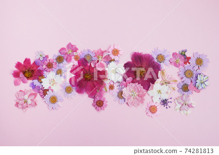 Wild pink flowers framework on pink background. Flat lay. Wild pink flowers framework on pink background. Flat lay. 74281813