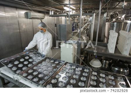 Female Worker by Conveyor at Food Factory 74282926