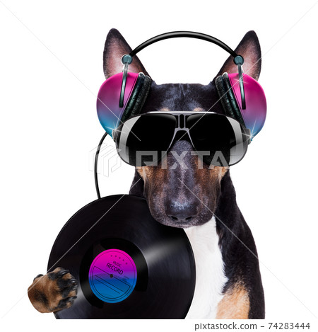 dj disco dancing music dog dj disco dancing music dog 74283444