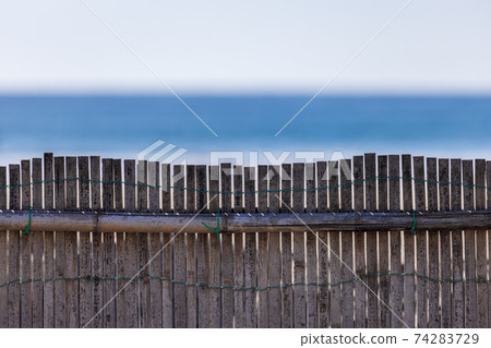 Bamboo fence and distant horizon for windbreak installed on the coast Bamboo fence and distant horizon for windbreak installed on the coast 74283729