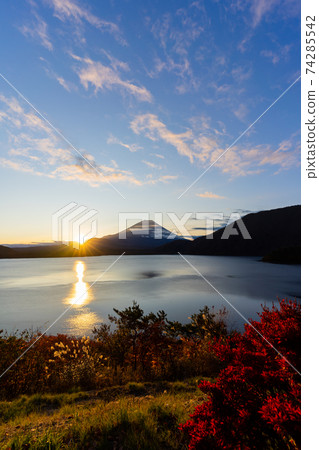 [Yamanashi Prefecture] Mt. Fuji, Lake Motosu, sunrise, autumn leaves, autumn 74285542