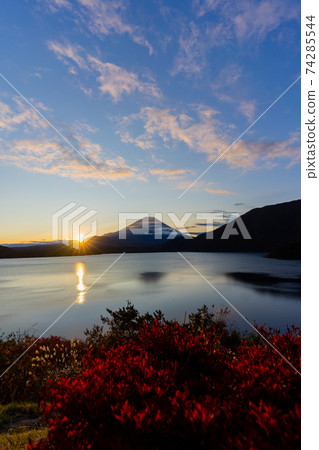 [Yamanashi Prefecture] Mt. Fuji, Lake Motosu, sunrise, autumn leaves, autumn 74285544