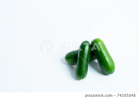 Cucumber Wartless Mini Cucumber Larino Cucumber Wartless Mini Cucumber Larino 74285848