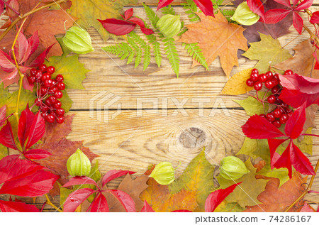 Collage, frame from autumn bright leaves and berries on wooden background. Studio Photo 74286167