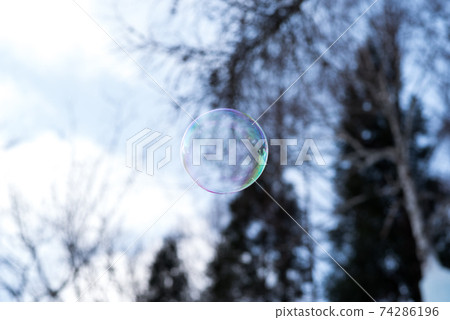 [肥皂泡]肥皂泡在冬天的景色中飛翔 74286196