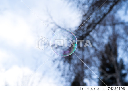 [肥皂泡]肥皂泡在冬天的景色中飛翔 74286198