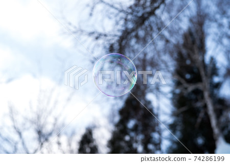 [肥皂泡]肥皂泡在冬天的景色中飛翔 74286199