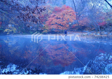 Provincial Park, Seonunsan, Maple, Autumn Provincial Park, Seonunsan, Maple, Autumn 74286425