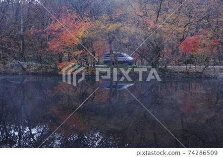 高句郡，仙雲山，省立公園，秋天，楓樹葉。 74286509