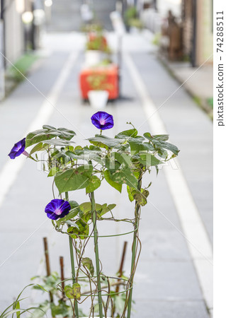 Bessho Onsen in summer, Kitamuki Kannon approach (Ueda City) Bessho Onsen in summer, Kitamuki Kannon approach (Ueda City) 74288511