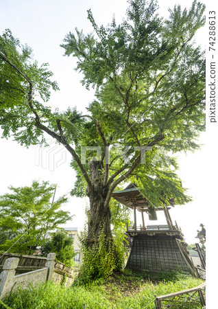 Kitamuki Kannon Aizen Katsura (city designated cultural property) 74288613
