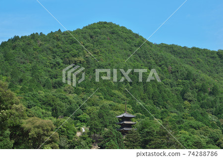 《岡山縣》大垣山福壽寺三層塔的風景，六月的晴天 74288786