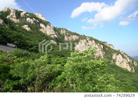 江原道仁濟郡北面大成嶺行安嶺 74289029