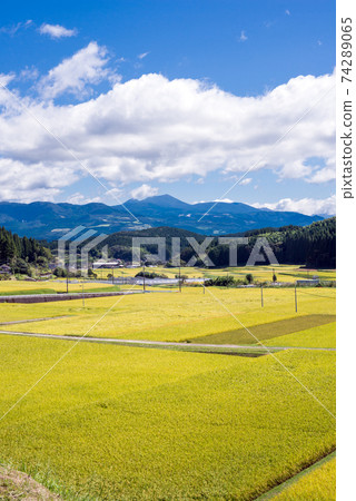 秋天的鄉村與背景的霧島山脈 秋天的鄉村與背景的霧島山脈 74289065