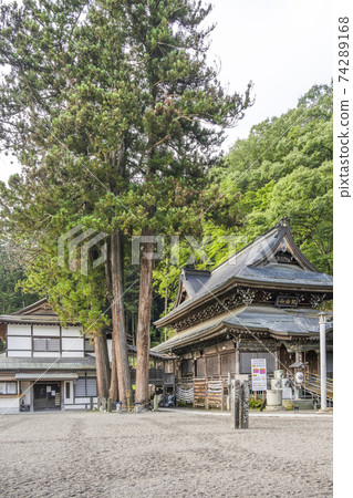 Kitamuki Kannon precincts Meotosugi (Ueda City) 74289168