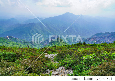 江原道仁濟郡北面廣面木辦公室大成嶺Hangyeryeong 江原道仁濟郡北面廣面木辦公室大成嶺Hangyeryeong 74289601