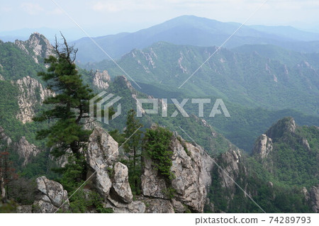 江原道仁濟郡北面廣面木辦公室大成嶺Hangyeryeong 江原道仁濟郡北面廣面木辦公室大成嶺Hangyeryeong 74289793