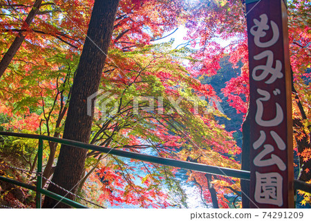 From the Suwakyo Momiji Park promenade, Tone River, autumn scenery, Minakami Town From the Suwakyo Momiji Park promenade, Tone River, autumn scenery, Minakami Town 74291209