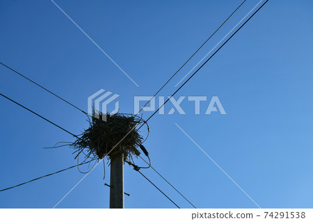 電線桿在蔚藍的天空 74291538