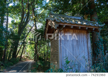 森林神社 74291960