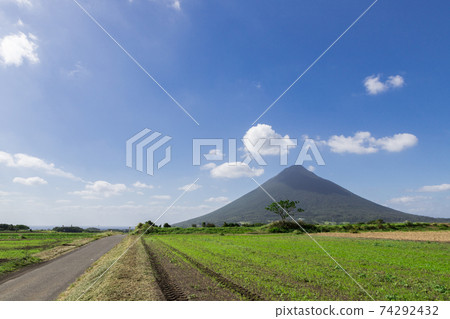 凱蒙達克火山(薩摩富士山)聳立在甘藷田上 凱蒙達克火山(薩摩富士山)聳立在甘藷田上 74292432