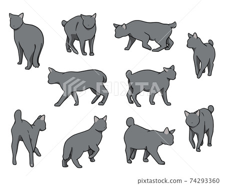 Osanponeko Bobtail Blue Set Osanponeko Bobtail Blue Set 74293360