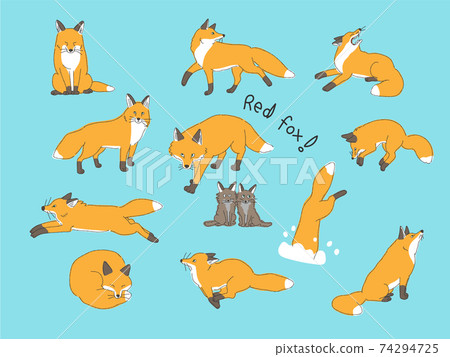 Various poses of the red fox 74294725