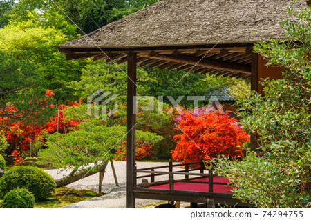 Manshuin Monzeki Around the time of fresh green Manshuin Monzeki Around the time of fresh green 74294755