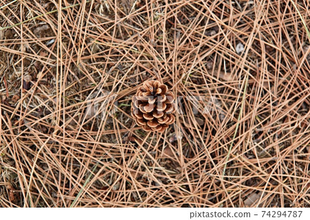 松錐 松錐 74294787