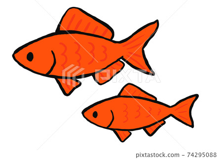 金魚挖金魚圖 74295088