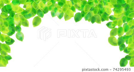 Fresh green leaf background 74295493