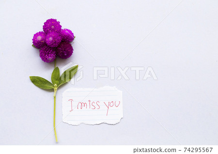 i miss you message card handwriting with purple flower globe amaranth i miss you message card handwriting with purple flower globe amaranth 74295567