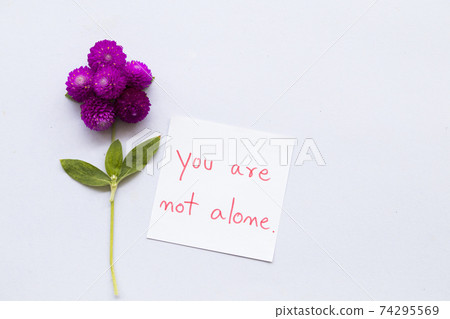 you are not alone message card handwriting with purple flower globe amaranth you are not alone message card handwriting with purple flower globe amaranth 74295569