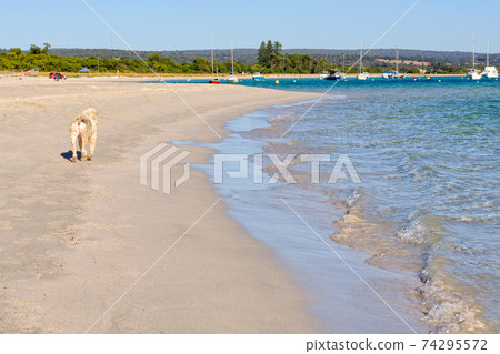 Stroll on the beach - Dunsborough Stroll on the beach - Dunsborough 74295572
