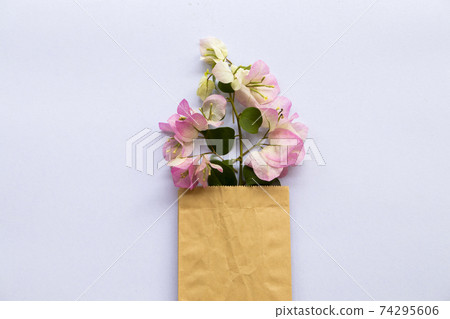 bougainvillea flora local flowers of asia arrangement in brown bag bougainvillea flora local flowers of asia arrangement in brown bag 74295606
