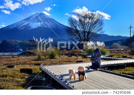 拍攝富士山和狗 拍攝富士山和狗 74295696