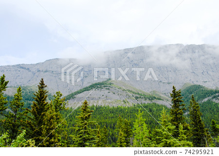 Spring Canadian Rockies Miette Road (Road to Miette Hot Springs) Scenery (Jasper, Canada) Spring Canadian Rockies Miette Road (Road to Miette Hot Springs) Scenery (Jasper, Canada) 74295921