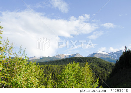 春季加拿大落基山脈Miette Road(通往Miette溫泉之路)風光(加拿大賈斯珀) 春季加拿大落基山脈Miette Road(通往Miette溫泉之路)風光(加拿大賈斯珀) 74295948
