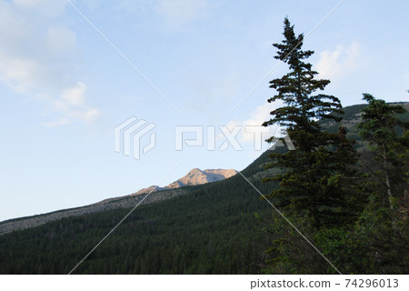 春季加拿大落基山脈晚上碧玉景觀（加拿大） 74296013