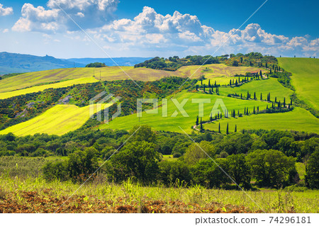 Winding rural road on the hill with cypresses, Tuscany, Italy Winding rural road on the hill with cypresses, Tuscany, Italy 74296181