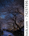 Illuminated night cherry blossoms in Akasaka and Sakurazaka 74297496