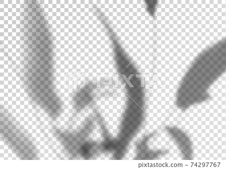 The transparent shadow overlay effect from foliage The transparent shadow overlay effect from foliage 74297767