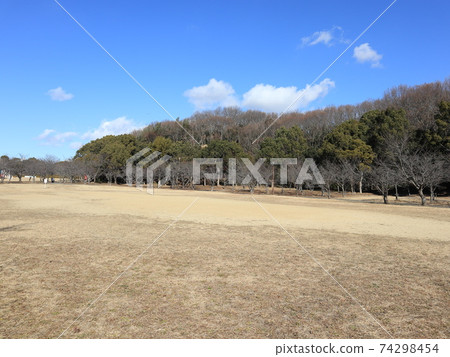 胜新中央公園公園的冬景 胜新中央公園公園的冬景 74298454