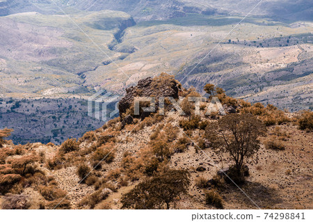 mountain landscape with canyon, Ethiopia 74298841