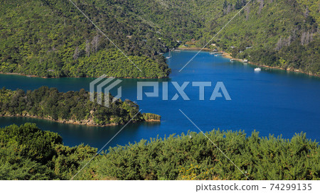 Landscape near Picton, New Zealand. Landscape near Picton, New Zealand. 74299135