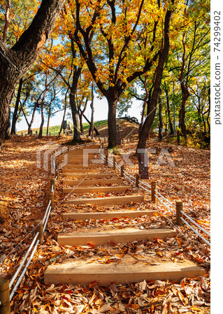 Autumn colorful forest road at Miryang Eupseong Fortress in Miryang, Korea Autumn colorful forest road at Miryang Eupseong Fortress in Miryang, Korea 74299402