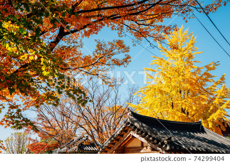 Yeongnamnu pavilion and autumn colorful trees in Miryang, Korea Yeongnamnu pavilion and autumn colorful trees in Miryang, Korea 74299404